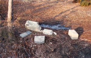 Marshall Family Cemetery History
