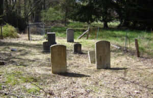 Fairfax/Davis/Payne/Lacy Family Cemetery: FCCPA Survey