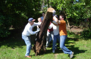 Gooding-Seaton Cleanup: Phase 1