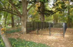 Cross/Wrenn Family Cemetery