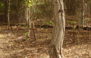 Robinson/Pearson/Hicks Family Cemetery