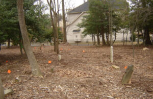 Martin Family Cemetery: Cleanup