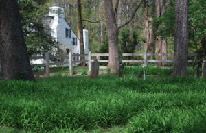 Jackson Family: Swinks Mill Rd.