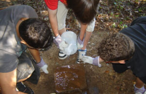 Boy Scounts Clean Up Simpson Family Cemetery (Windemere Lane)