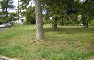 Unnamed Cemetery – Dowden Terrace