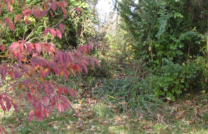 Haley Family Cemetery