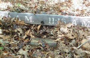 Jackson Family Cemetery: Burke