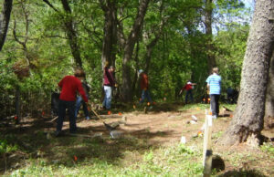 Bicksler Family Cemetery: Cleanup