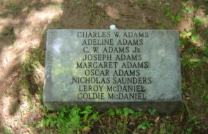 Adams Family Cemetery, Vienna